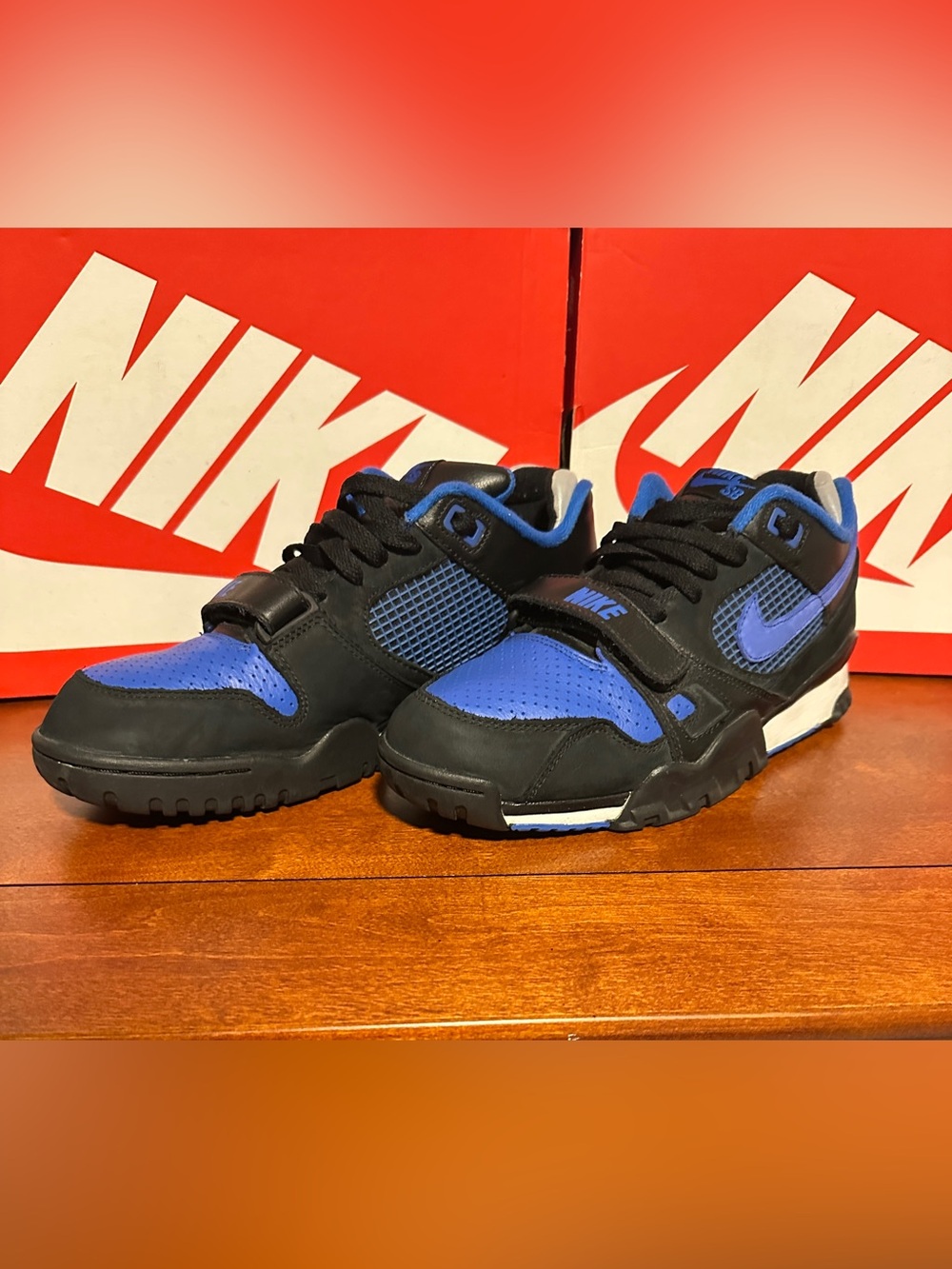 Nike Air Trainer 2 Sb (2008)